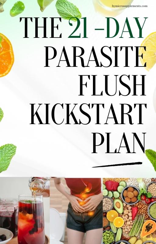 21-Day Parasite Cleanse Kickstart Plan