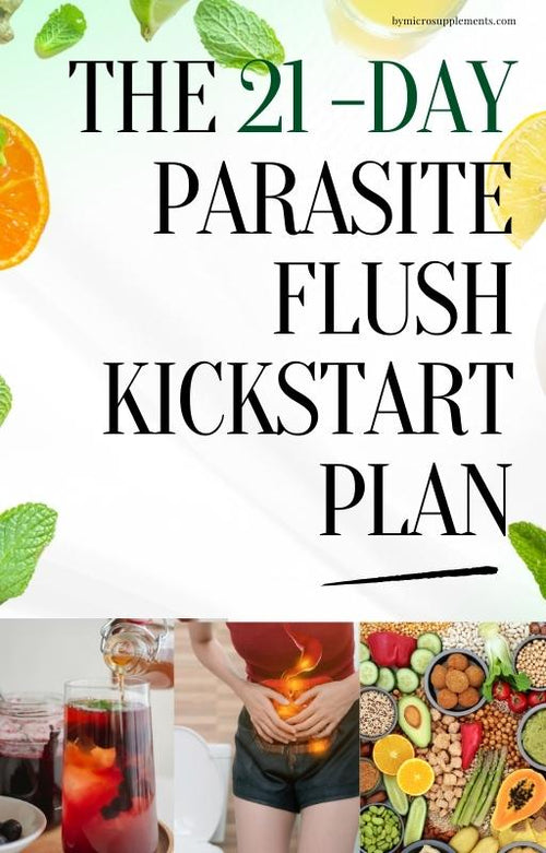 21-Day Parasite Cleanse Kickstart Plan