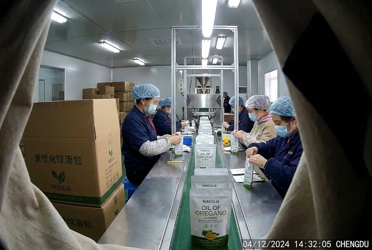 Leaked photo of a contract factory production line packing oil of oregano pouches, workers in hairnets and masks