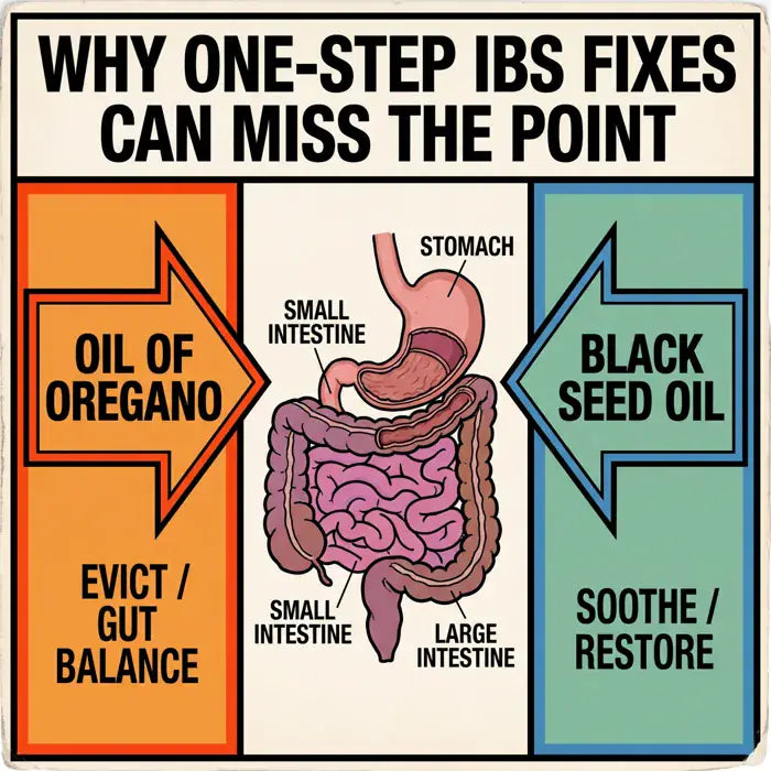 Infographic: Why one-step IBS fixes can miss the point — Oil of Oregano evicts and balances, Black Seed Oil soothes and restores, shown around a gut diagram.